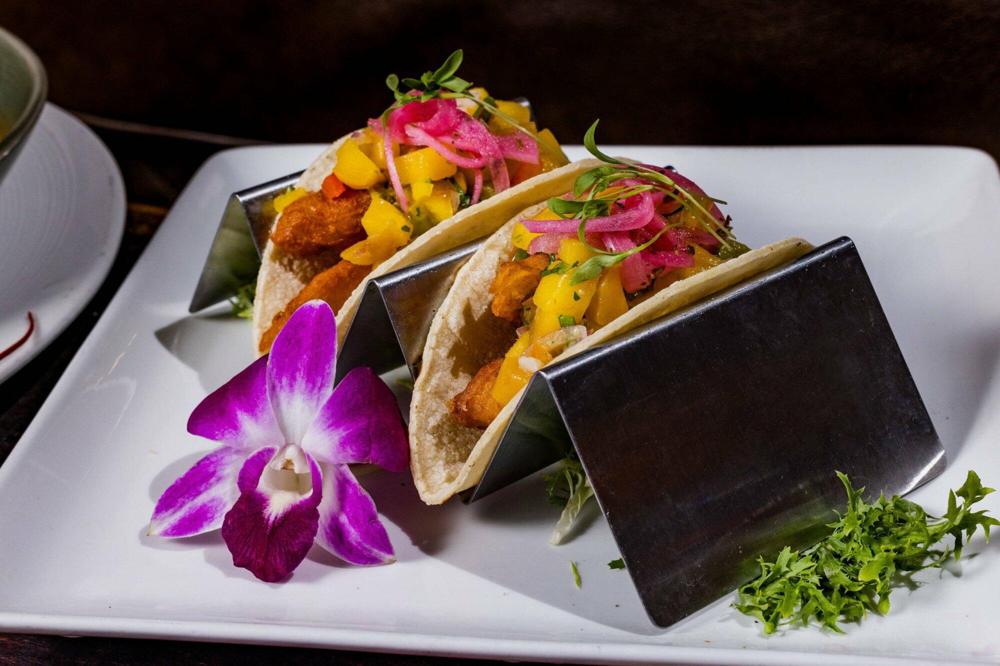 Make it Taco Tuesday Everyday with these Restaurants in Miami