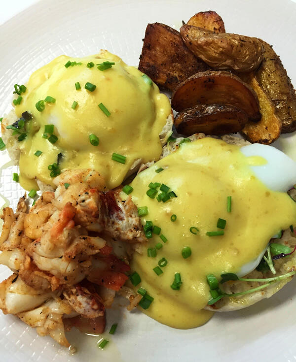 oyster benedict
