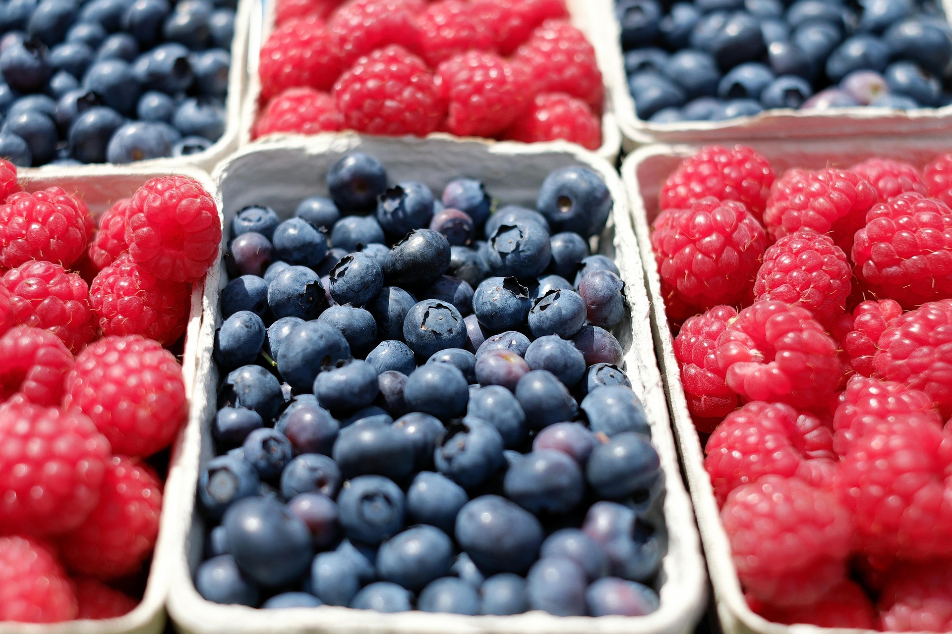 Close-up of cartons filled with fresh blueberries and raspberries arranged side by side.